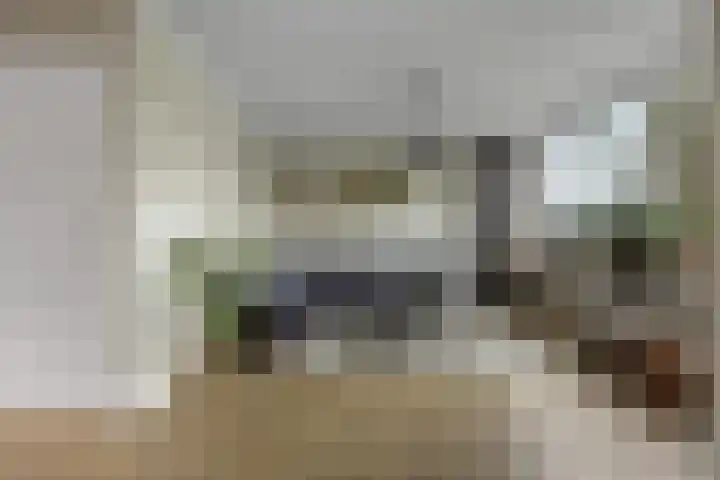 De Steenkamp 24 Voorthuizen thumbnail 10