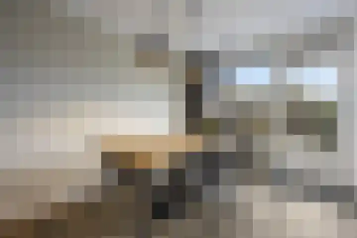 De Steenkamp 24 Voorthuizen thumbnail 17