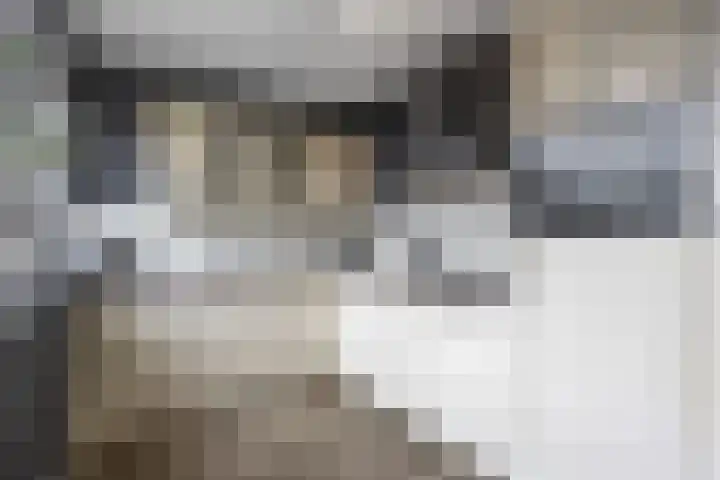 De Steenkamp 24 Voorthuizen thumbnail 19