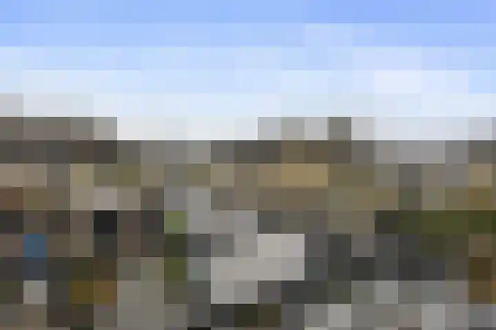 De Steenkamp 24 Voorthuizen thumbnail 26