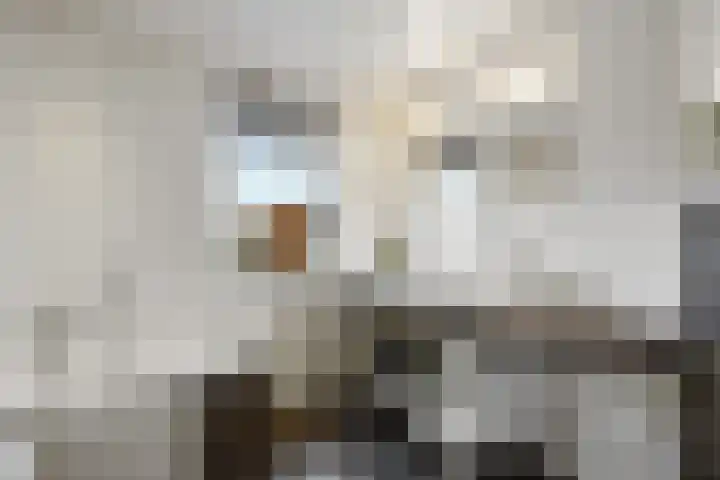 De Steenkamp 24 Voorthuizen thumbnail 29