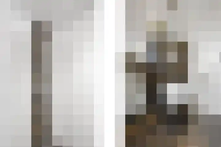 De Steenkamp 24 Voorthuizen thumbnail 31