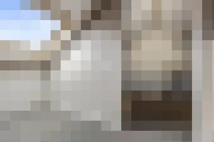 De Steenkamp 24 Voorthuizen thumbnail 34