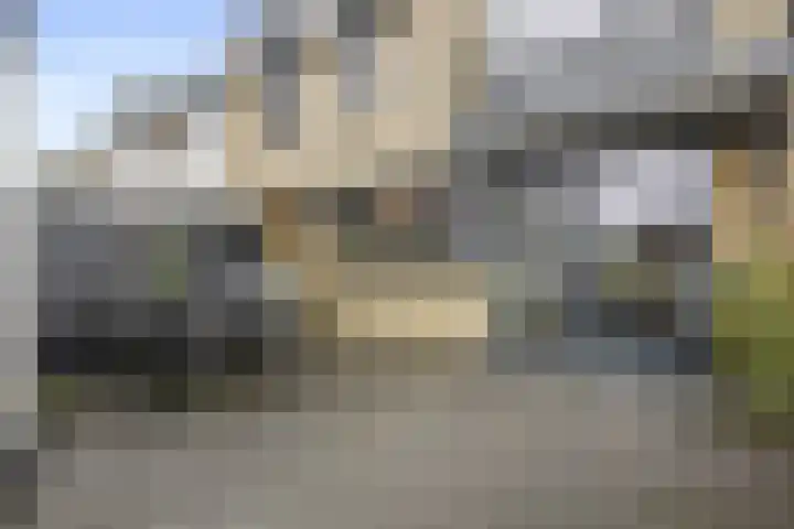 De Steenkamp 24 Voorthuizen thumbnail 36