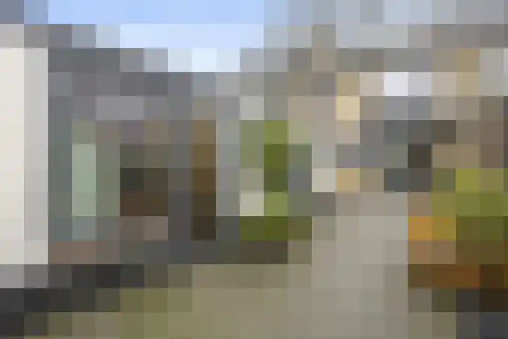 De Steenkamp 24 Voorthuizen thumbnail 38