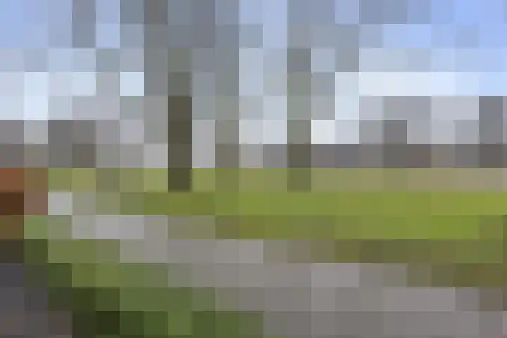 De Steenkamp 24 Voorthuizen thumbnail 4