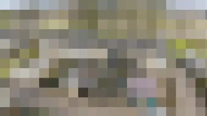 De Steenkamp 24 Voorthuizen thumbnail 41