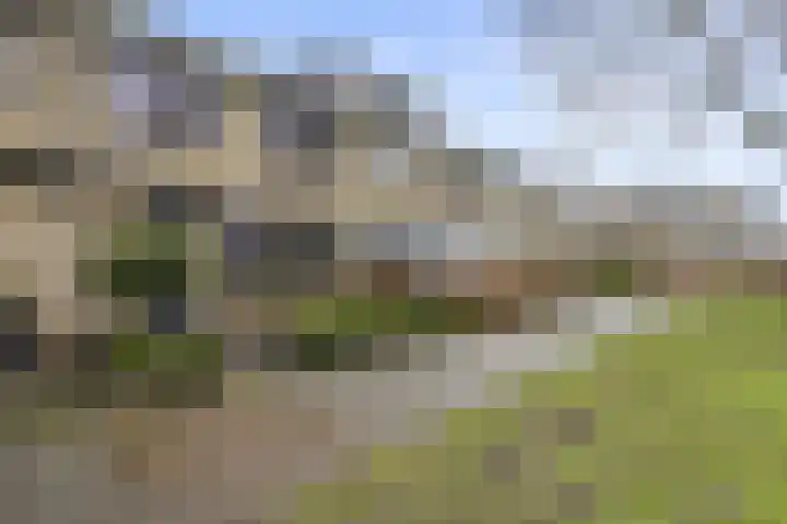 De Steenkamp 24 Voorthuizen thumbnail 43