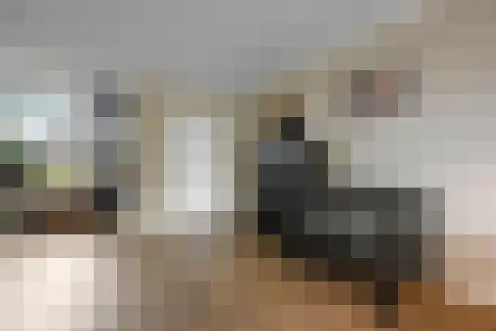 De Steenkamp 24 Voorthuizen thumbnail 9
