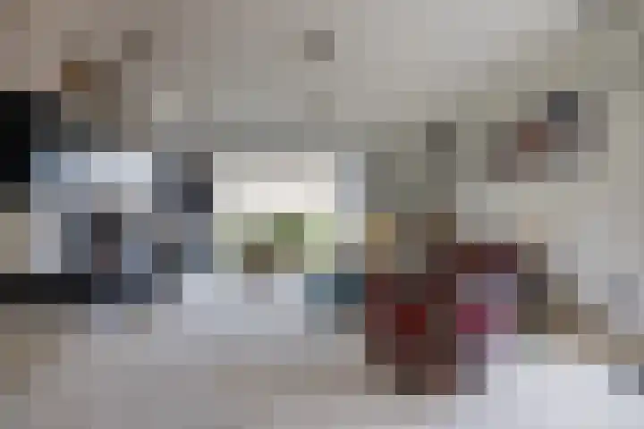 De Steenzager 40 Veldhoven thumbnail 10