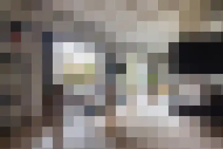 De Steenzager 40 Veldhoven thumbnail 12