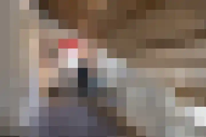 De Steenzager 40 Veldhoven thumbnail 17