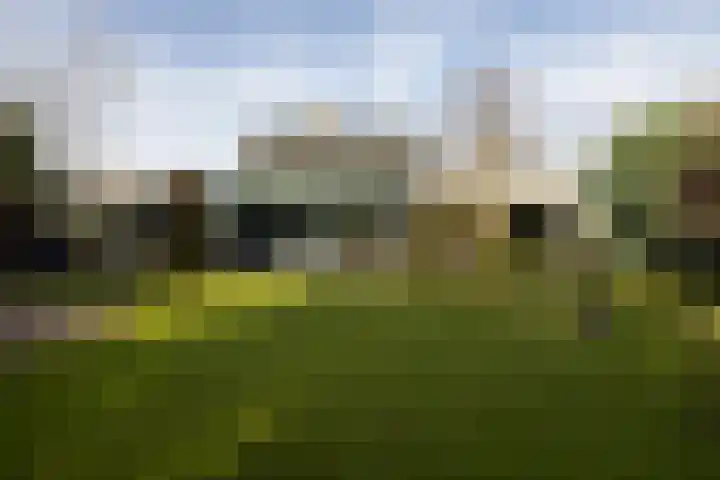 De Steenzager 40 Veldhoven thumbnail 23