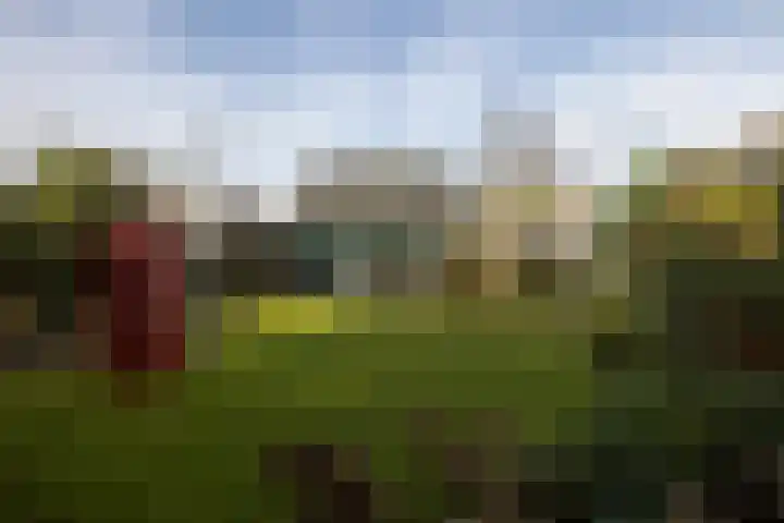 De Steenzager 40 Veldhoven thumbnail 24