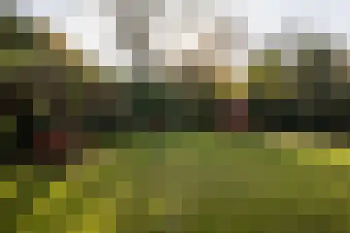 De Steenzager 40 Veldhoven thumbnail 26