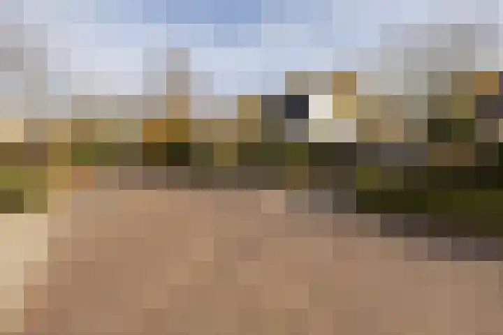 De Steenzager 40 Veldhoven thumbnail 33