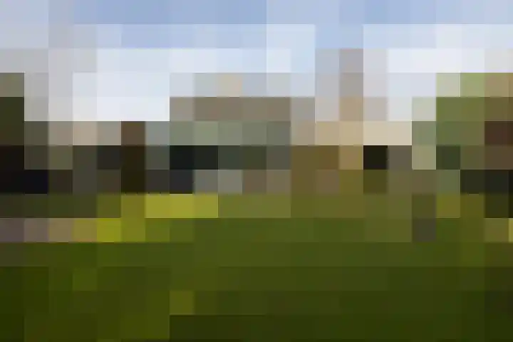 De Steenzager 40 Veldhoven thumbnail 4