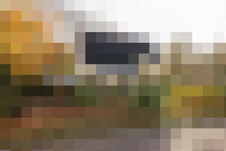 De Steenzager 40 Veldhoven thumbnail 5