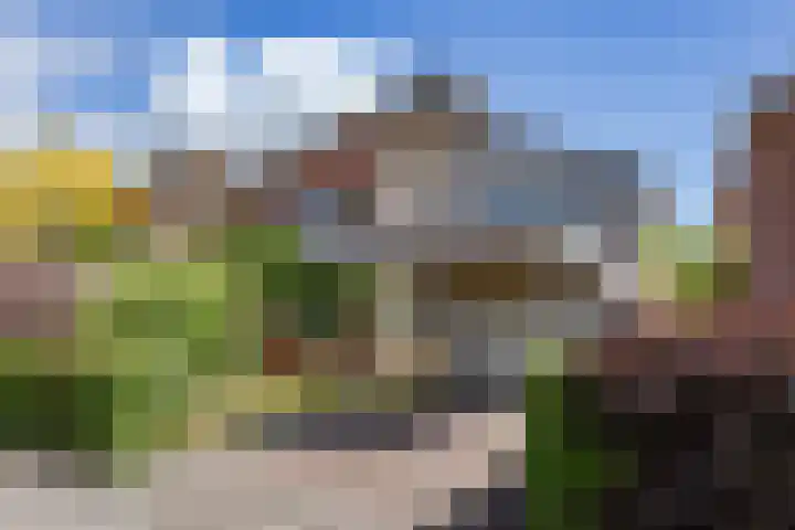 De Stek 5 in Nieuwe Niedorp