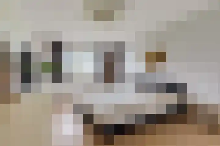 De Steke 3 Bakhuizen thumbnail 12