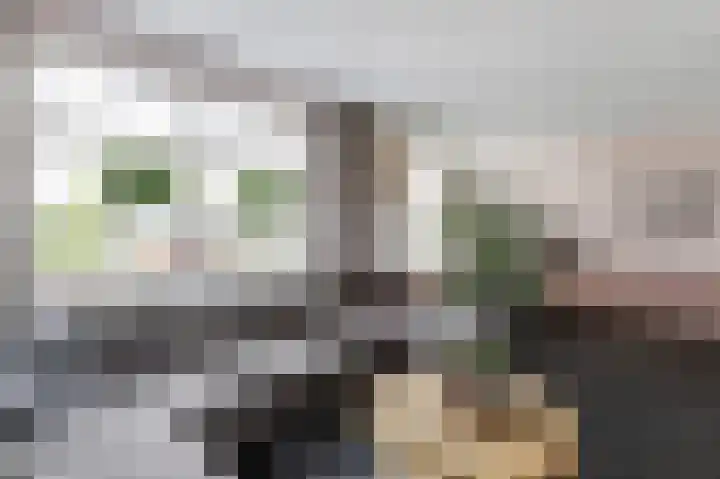 De Steke 3 Bakhuizen thumbnail 13