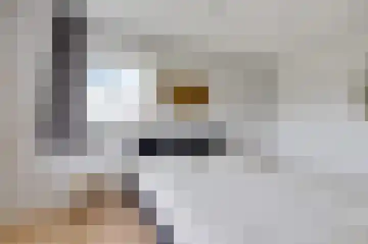 De Steke 3 Bakhuizen thumbnail 15