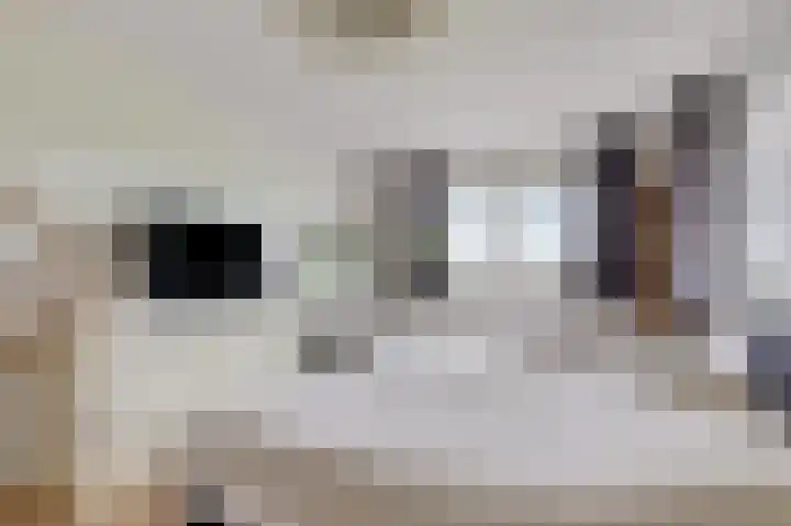 De Steke 3 Bakhuizen thumbnail 16