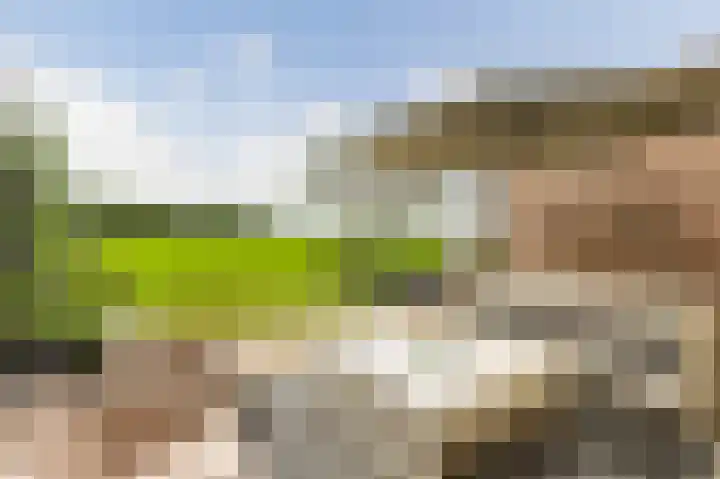 De Steke 3 Bakhuizen thumbnail 25