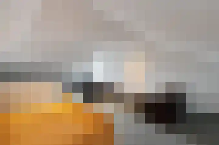 De Steke 3 Bakhuizen thumbnail 30