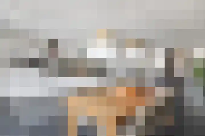 De Steke 3 Bakhuizen thumbnail 6