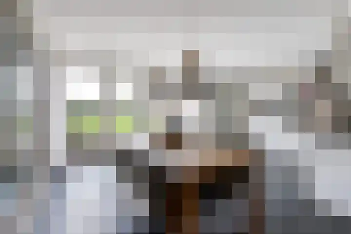 De Steke 3 Bakhuizen thumbnail 8
