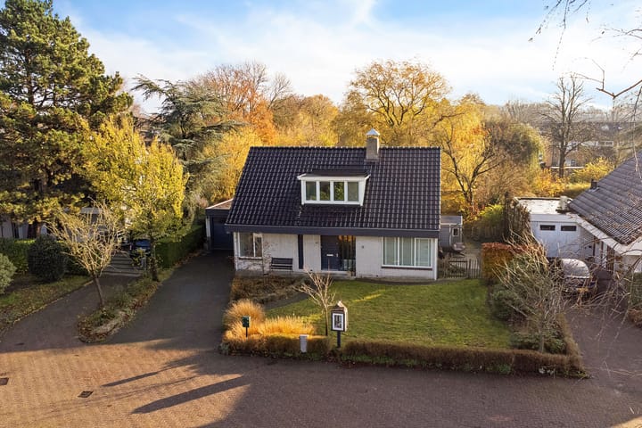 De Stelle 45 in Joure