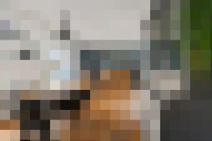 De Stelle 45 Joure thumbnail 14