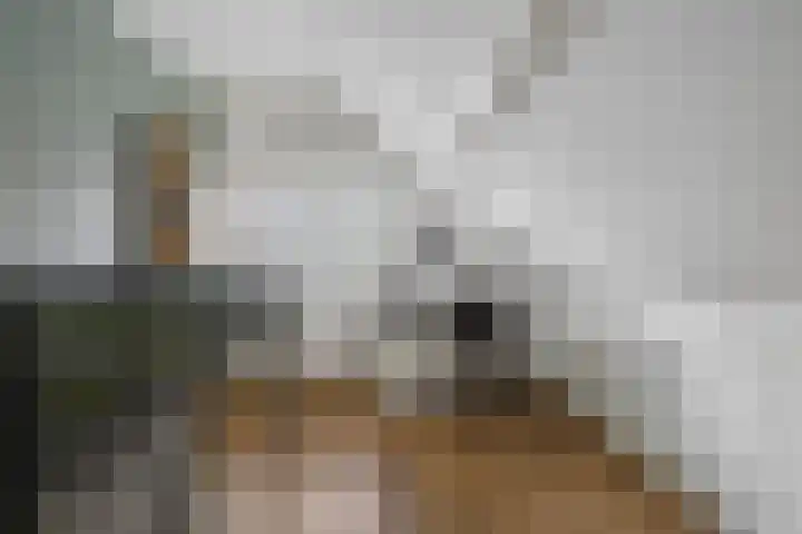 De Stelle 45 Joure thumbnail 31