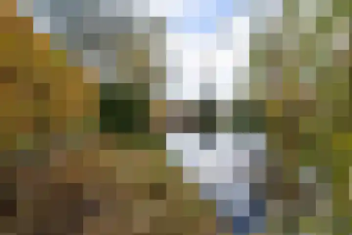 De Stelle 45 Joure thumbnail 43