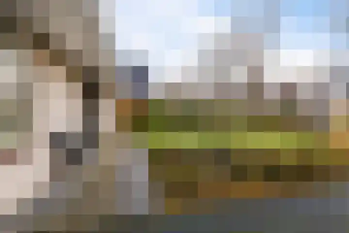 De Stelle 45 Joure thumbnail 49