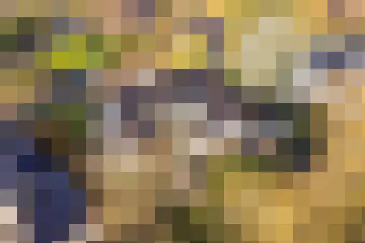 De Stelle 45 Joure thumbnail 52