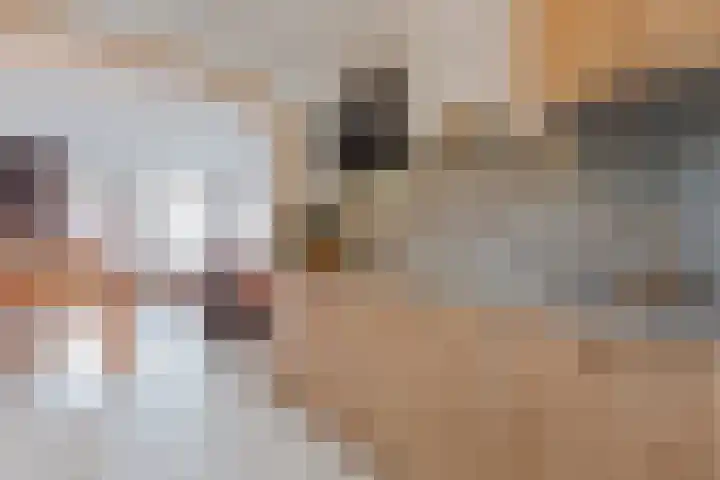 De Stelling 10 10 13 Lelystad thumbnail 11