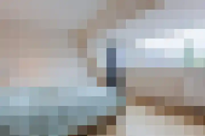 De Stelling 10 10 13 Lelystad thumbnail 13