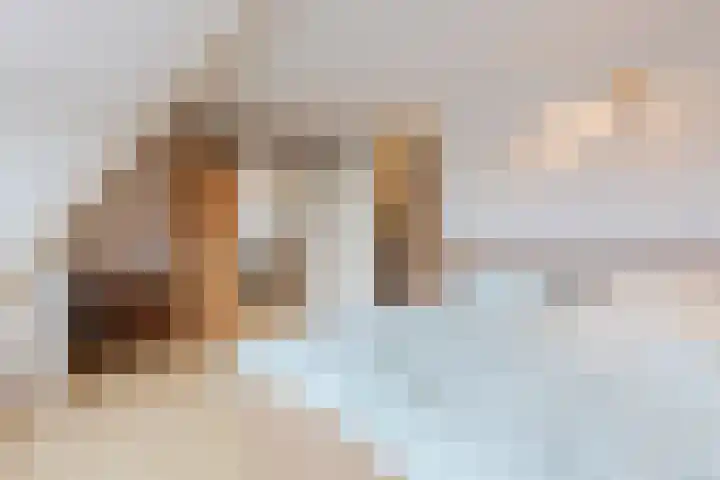 De Stelling 10 10 13 Lelystad thumbnail 15