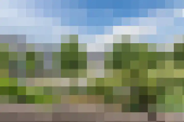 De Stelling 10 10 13 Lelystad thumbnail 23