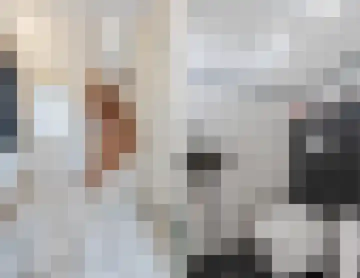 De Stelling 10 10 13 Lelystad thumbnail 6