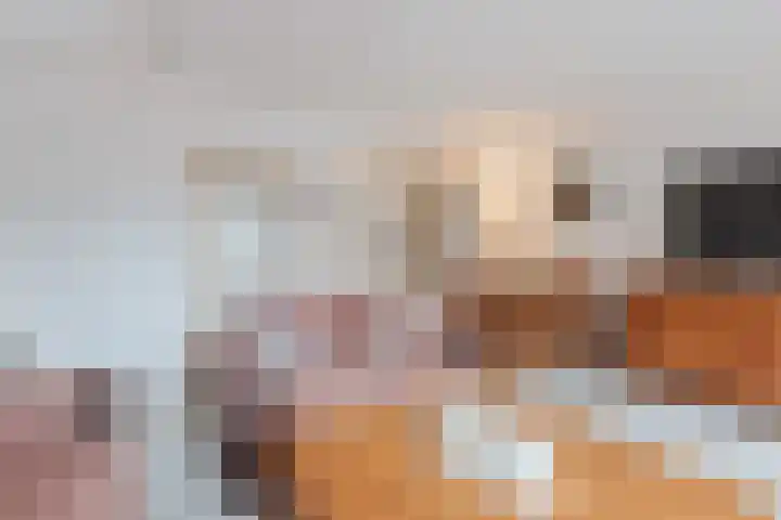 De Stelling 10 10 13 Lelystad thumbnail 9