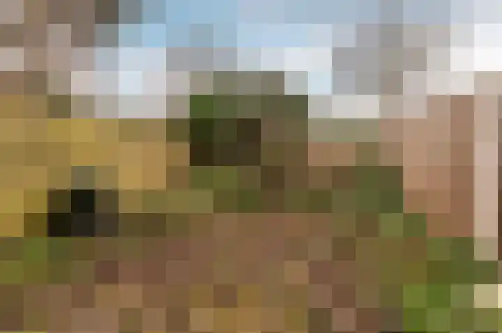 De Stelling 10 10 37 Lelystad thumbnail 30