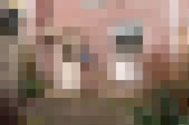 De Stelling 10 10 37 Lelystad thumbnail 31