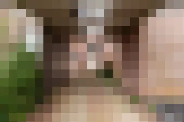 De Stelling 10 10 37 Lelystad thumbnail 32