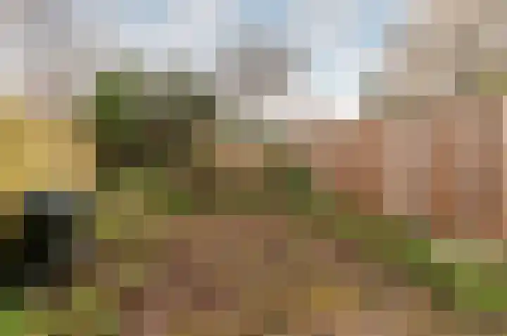 De Stelling 10 10 37 Lelystad thumbnail 4