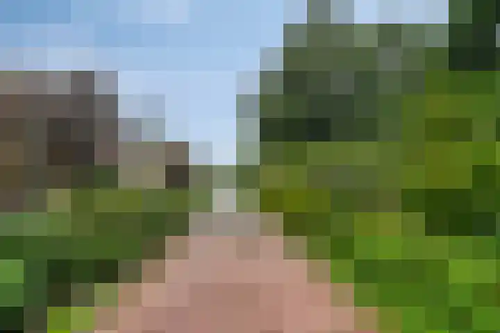 De Stelling 12 12 A Lelystad thumbnail 18