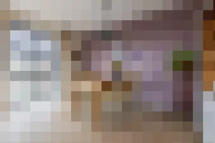 De Stelling 31 Muiden thumbnail 18
