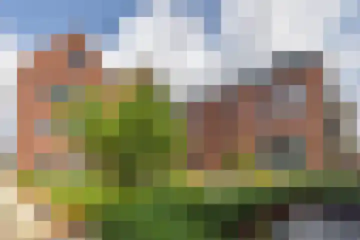 De Stelling 31 Muiden thumbnail 28